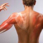 cómo hacer los músculos
