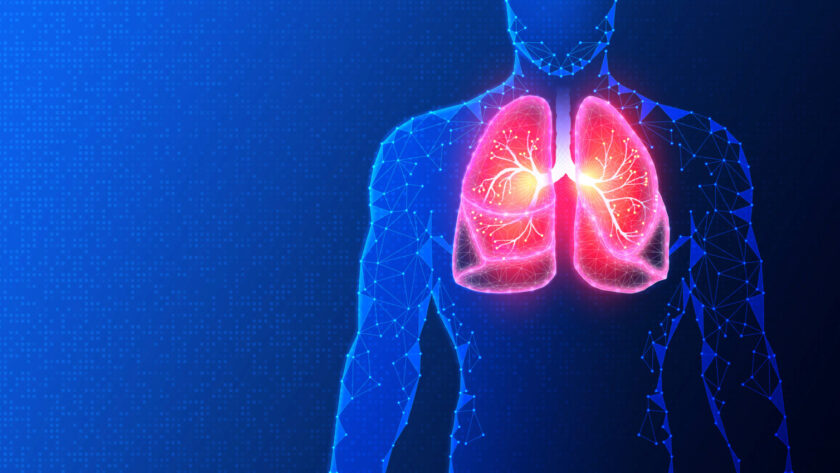 diagrama de pulmones