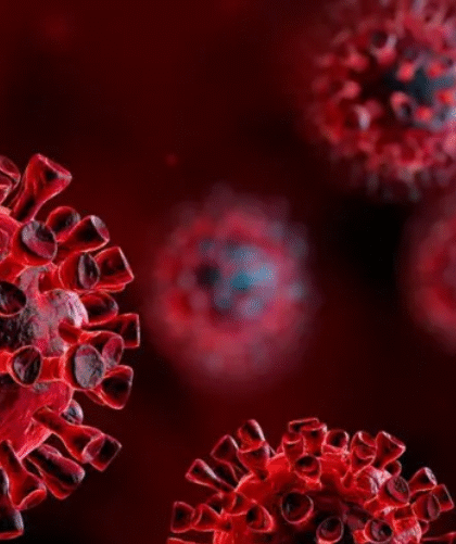 virus
