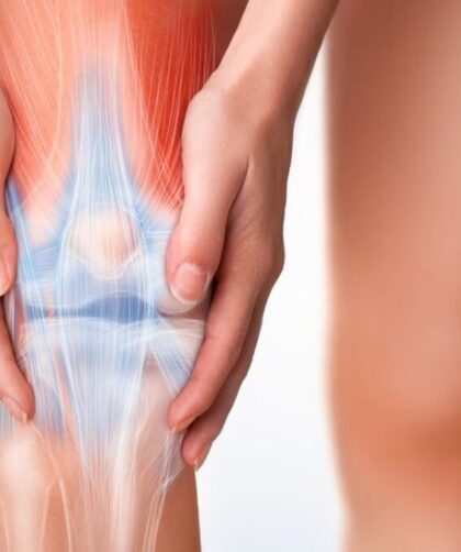 animación cartílago de rodilla